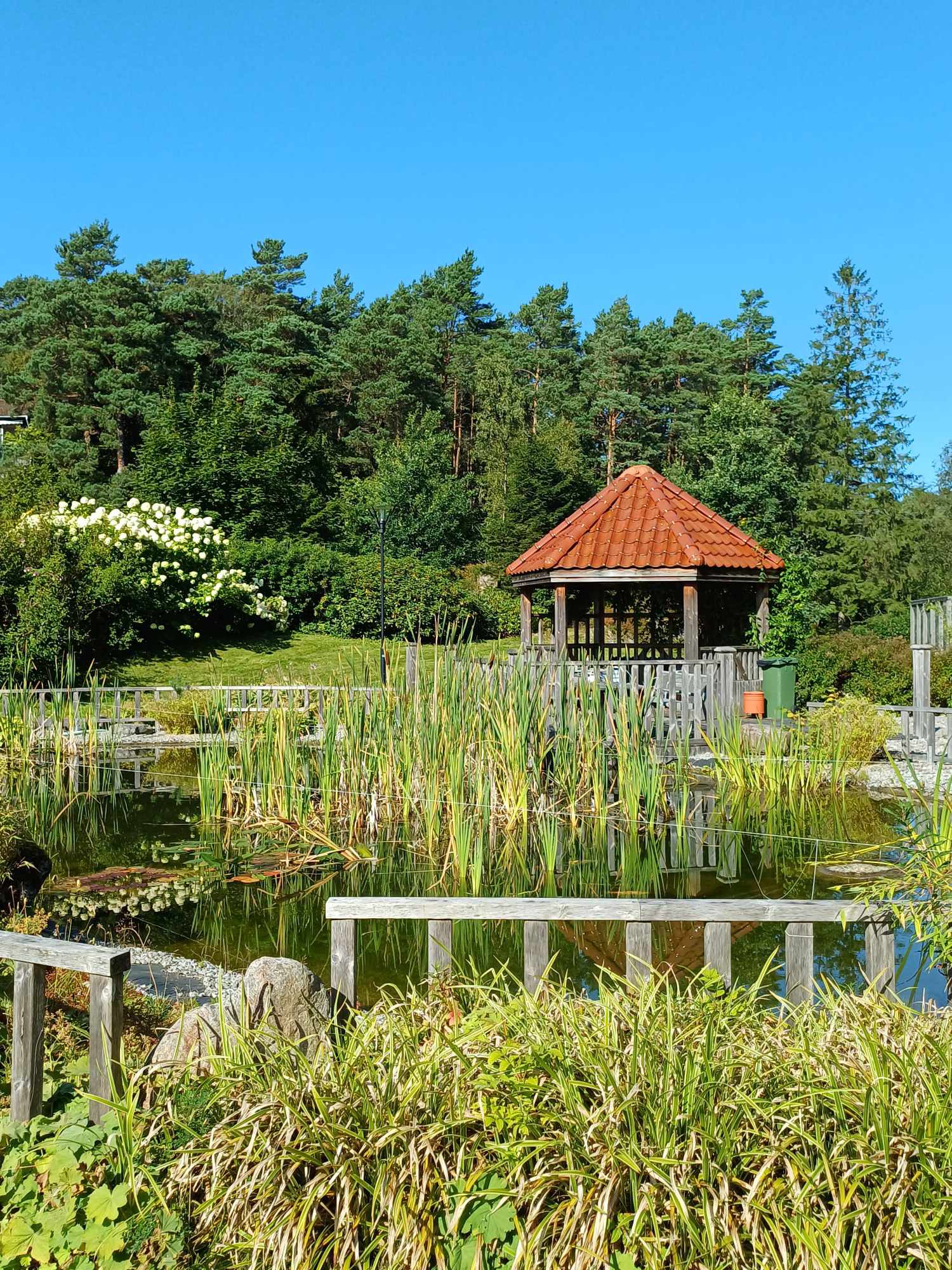 En dam med et lysthus i bakgrunnen