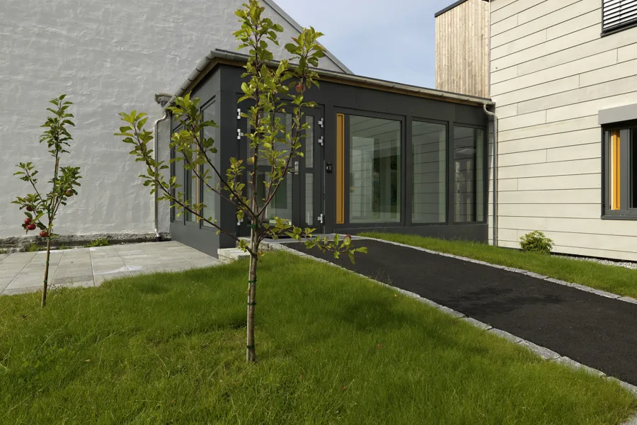 Et tre foran en bygning, dekorativt